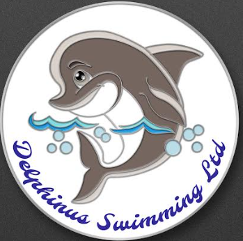 Delphinus swimming logo enamel pin badge